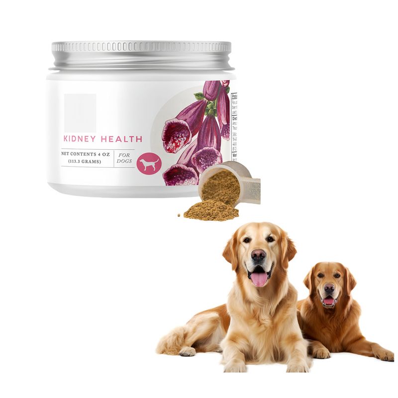 FurryFusion - Poudre d'énergie pour reins de chien