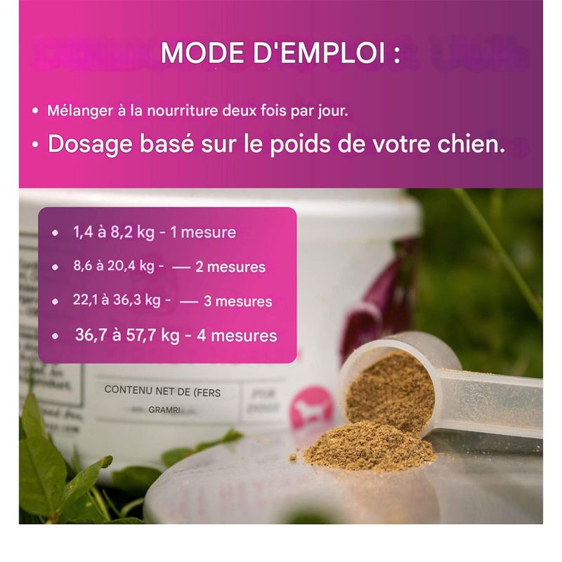 FurryFusion - Poudre d'énergie pour reins de chien