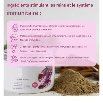 FurryFusion - Poudre d'énergie pour reins de chien