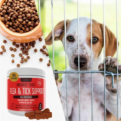 FurryFusion - Comprimés à mâcher contre les allergies pour chiens