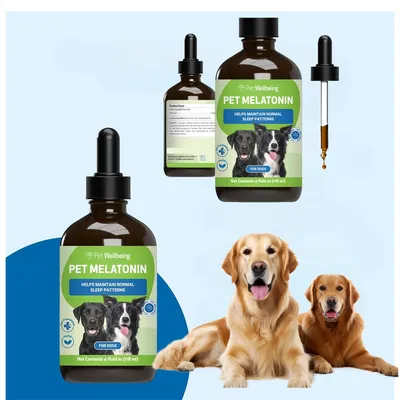 FurryFusion - Gouttes de mélatonine pour santé canin