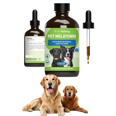 FurryFusion - Gouttes de mélatonine pour santé canin