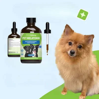 FurryFusion - Gouttes de mélatonine pour santé canin