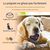 FurryFusion Supplément pour animaux de compagnie