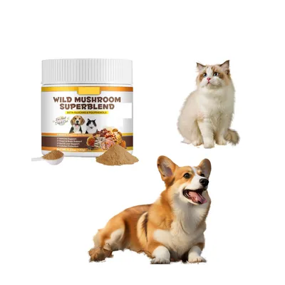 FurryFusion Poudre d'énergie pour la santé des chiens, 60 g