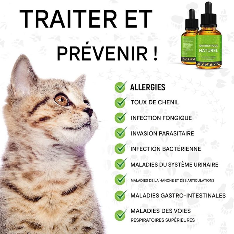 FurryFusion Compléments à base de plantes pour animaux de compagnie
