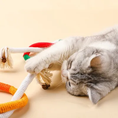 FurryFusion Corde de mastication pour chat, jouet et dentifrice