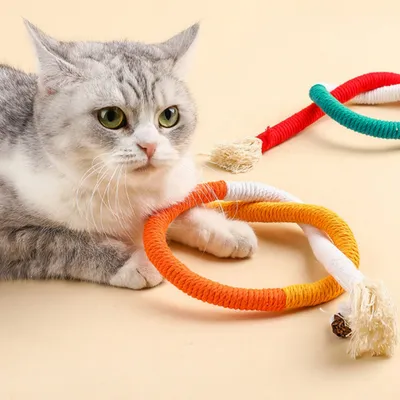 FurryFusion Corde de mastication pour chat, jouet et dentifrice
