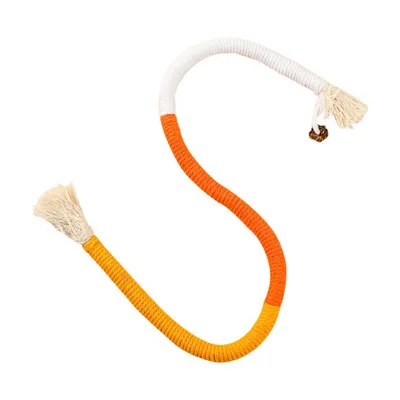 FurryFusion Corde de mastication pour chat, jouet et dentifrice