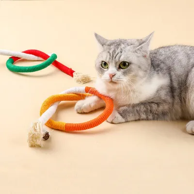 FurryFusion Corde de mastication pour chat, jouet et dentifrice