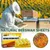 FurryFusion Corde de mastication pour chat, jouet et dentifrice FurryFusion Corde de mastication pour chat, jouet et dentifrice