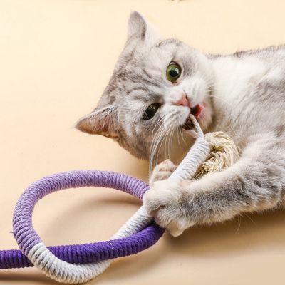 FurryFusion Corde de mastication pour chat, jouet et dentifrice