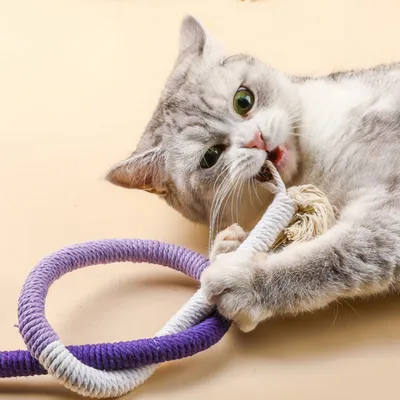 FurryFusion Corde de mastication pour chat, jouet et dentifrice