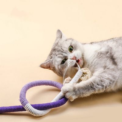 FurryFusion Corde de mastication pour chat, jouet et dentifrice
