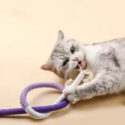 FurryFusion Corde de mastication pour chat, jouet et dentifrice