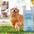 FurryFusion Spray déodorant pour animaux
