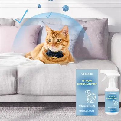 FurryFusion Spray déodorant pour animaux