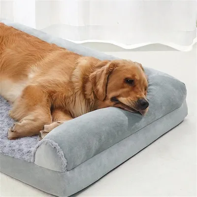 FurryFusion - Lit Orthopédique