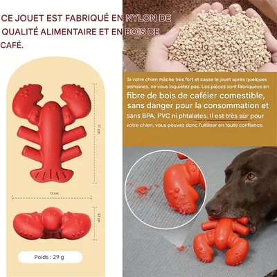 FurryFusion Jouet à mâcher en caoutchouc