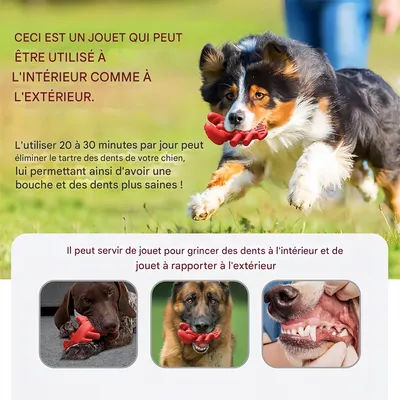 FurryFusion Jouet à mâcher en caoutchouc