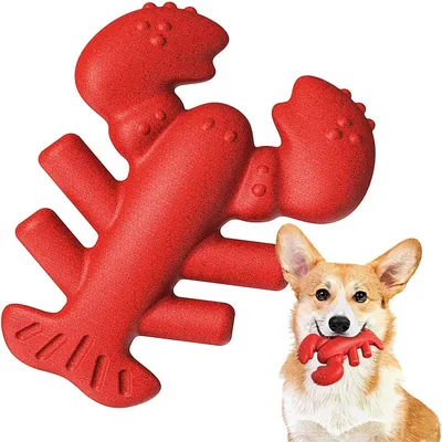 FurryFusion Jouet à mâcher en caoutchouc