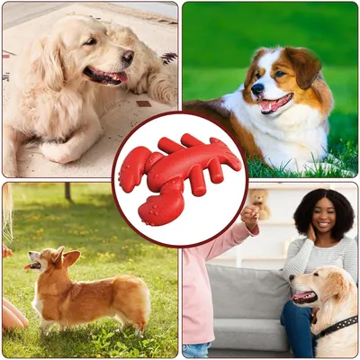 FurryFusion Jouet à mâcher en caoutchouc