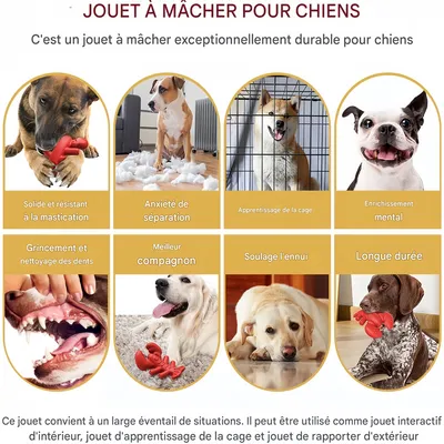 FurryFusion Jouet à mâcher en caoutchouc