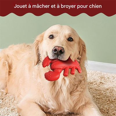 FurryFusion Jouet à mâcher en caoutchouc