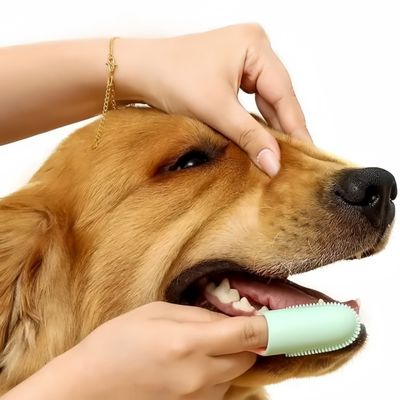 FurryFusion Cepillo de dedo para perros y gatos, paquete de 2