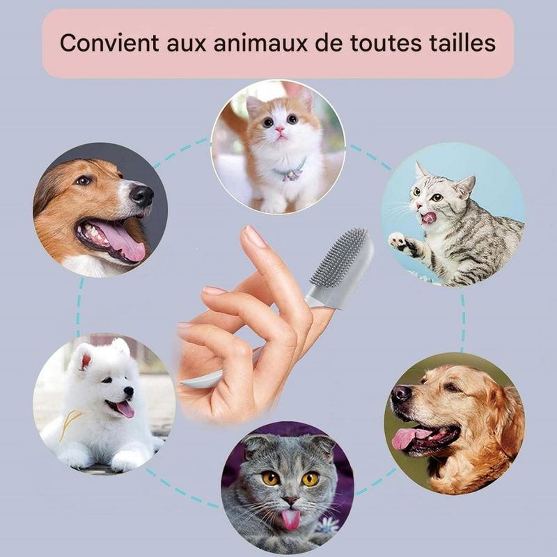 FurryFusion Brosse pour doigt pour chien et chat paquet de 2