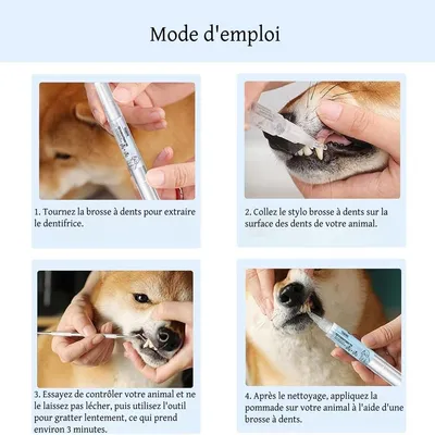 FurryFusion Stylos de nettoyage pour dents de chien