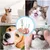 FurryFusion Stylos de nettoyage pour dents de chien