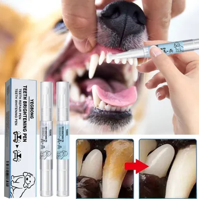 FurryFusion Stylos de nettoyage pour dents de chien
