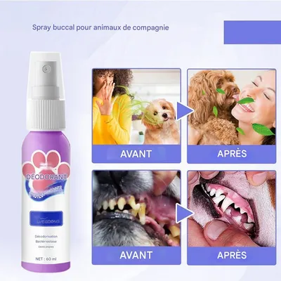 FurryFusion Spray dentaire pour chien et chat