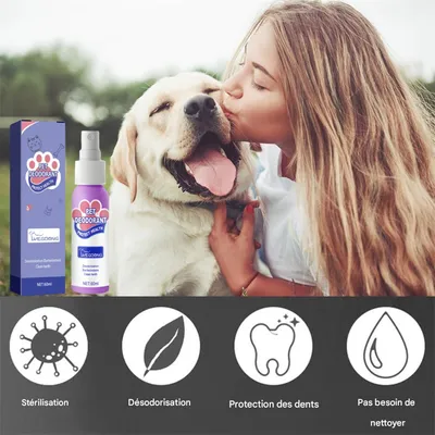 FurryFusion Spray dentaire pour chien et chat