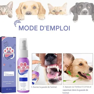 FurryFusion Spray dentaire pour chien et chat