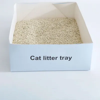 FurryFusion Litière de voiture jetable est pratique pour les voyages chat