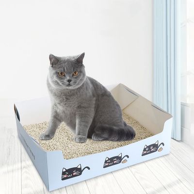 FurryFusion Litière de voiture jetable est pratique pour les voyages chat