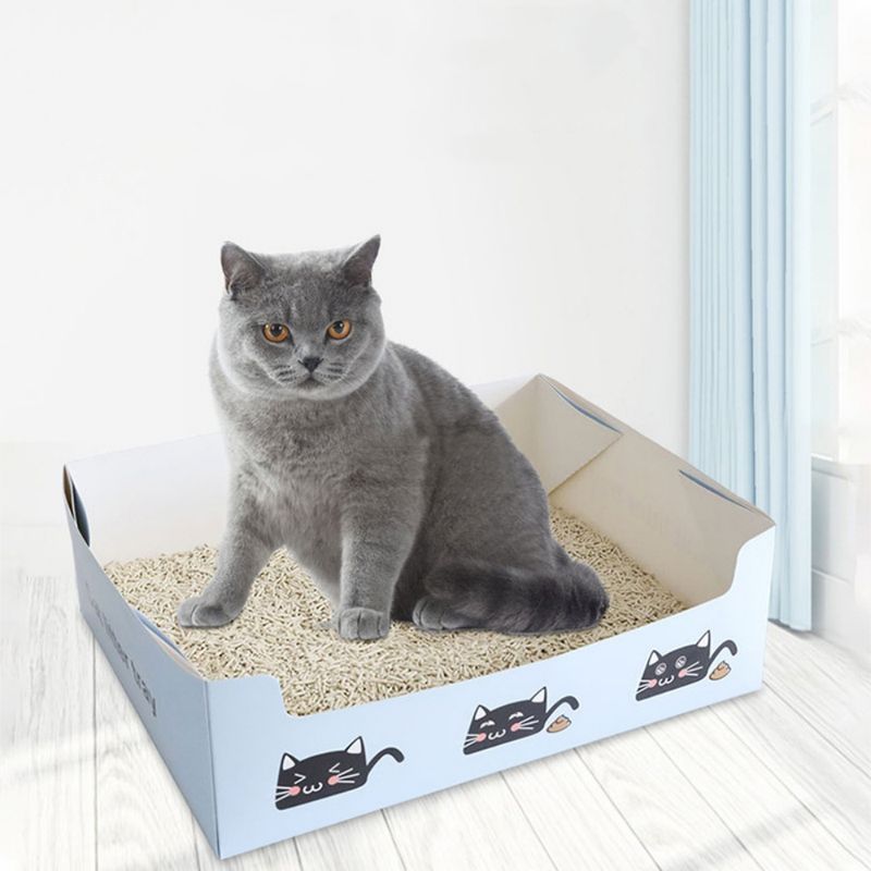 FurryFusion Litière de voiture jetable est pratique pour les voyages chat