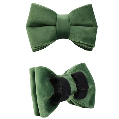 FurryFusion Colliers et laisses pour chats