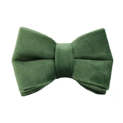 FurryFusion Colliers et laisses pour chats