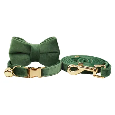 FurryFusion Colliers et laisses pour chats