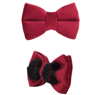 FurryFusion Colliers et laisses pour chats