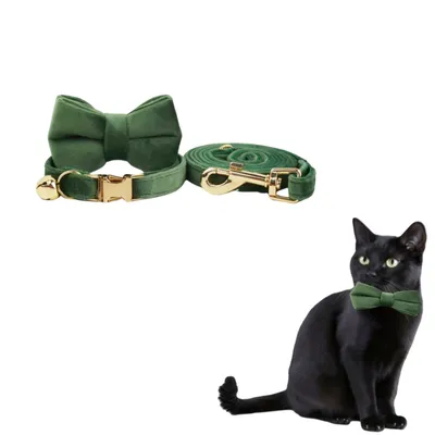 FurryFusion Colliers et laisses pour chats