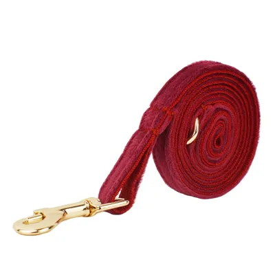 FurryFusion Colliers et laisses pour chats