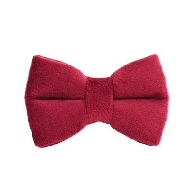 FurryFusion Colliers et laisses pour chats