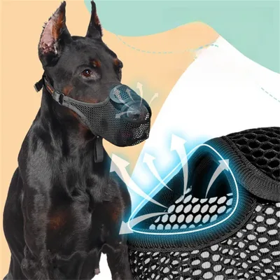 FurryFusion Muselière respirante en maille pour chien