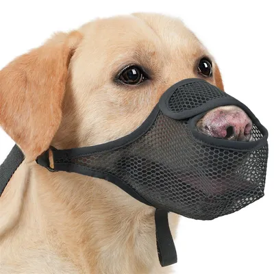 FurryFusion Muselière respirante en maille pour chien FurryFusion Muselière respirante en maille pour chien