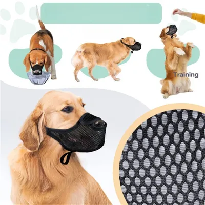 FurryFusion Muselière respirante en maille pour chien