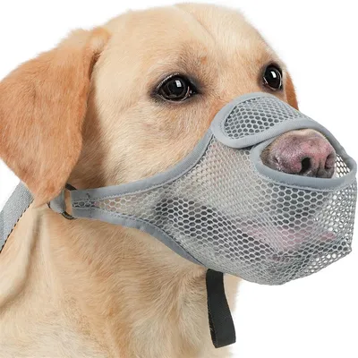 FurryFusion Muselière respirante en maille pour chien